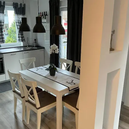 Schwarzwald Tannenzaepfle Apartment