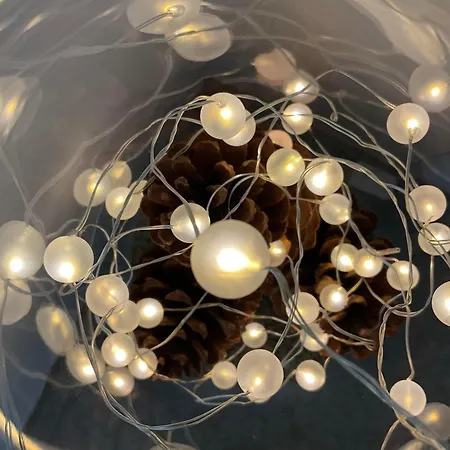 Appartement Schwarzwald Tannenzaepfle *