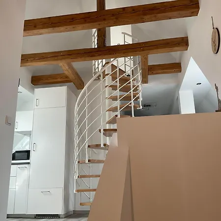 Schwarzwald Tannenzaepfle Apartment *