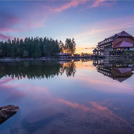 Schwarzwald Tannenzaepfle Appartement Baiersbronn