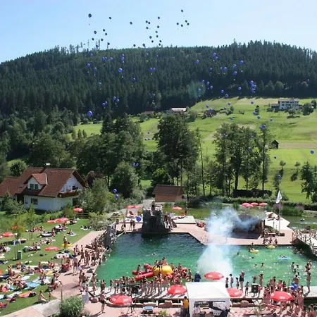 Appartement Schwarzwald Tannenzaepfle *