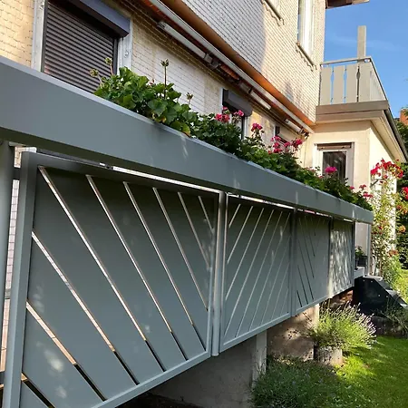 Schwarzwald Tannenzaepfle * Baiersbronn