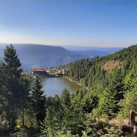 Schwarzwald Tannenzaepfle *