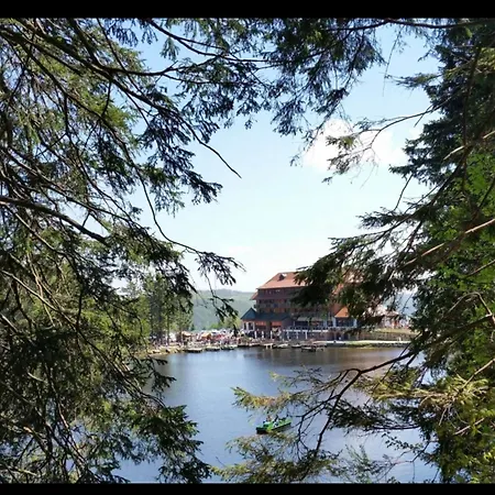 Schwarzwald Tannenzaepfle