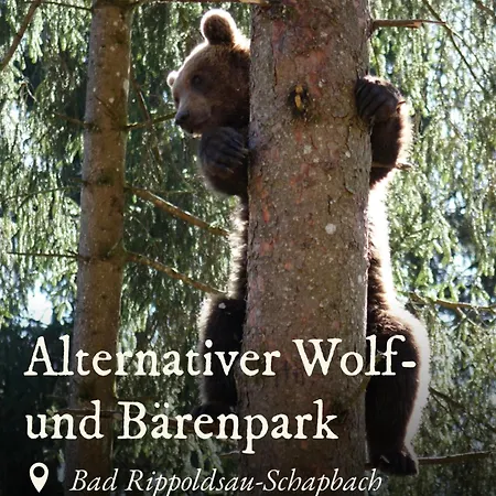 Schwarzwald Tannenzaepfle Appartement *