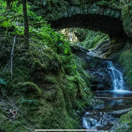Schwarzwald Tannenzaepfle شقة *
