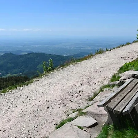 Appartement Schwarzwald Tannenzaepfle *