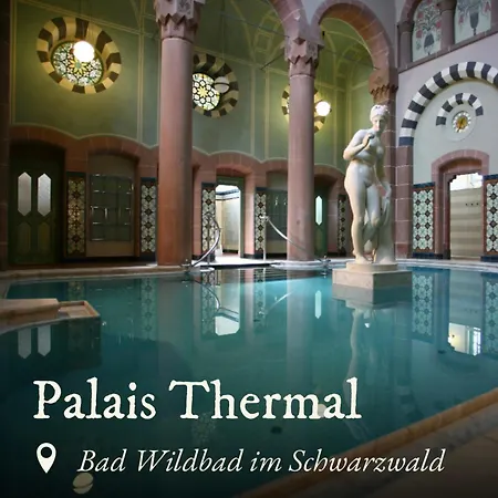 Appartement Schwarzwald Tannenzaepfle Baiersbronn