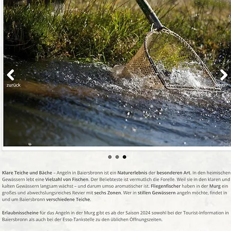 Schwarzwald Tannenzaepfle Appartement