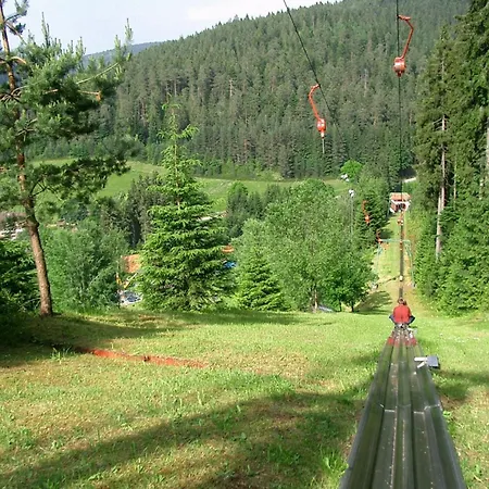 Appartement Schwarzwald Tannenzaepfle *